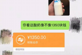 同安专业讨债公司，追讨消失的老赖